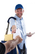 Mailman delivering mail