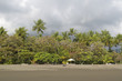 Photo: Empty Beachwith palm tree forest and empty chairs, Costa Rica Empty Beachwith palm tree forest and empty chairs, Costa Rica