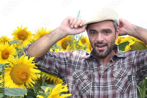 Photo: a farmer in a sunflowers field a farmer in a sunflowers field