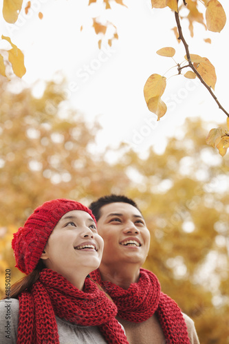 Photo: Chinese couple looking at autumn leaves Chinese couple looking at autumn leaves