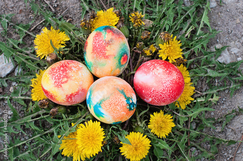 Photo: Easter hunt Easter hunt