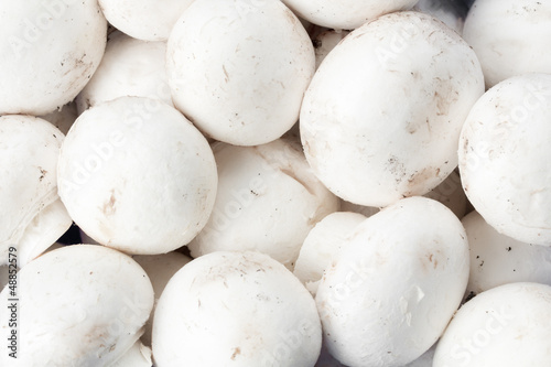 Photo: Champignons Champignons
