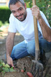 Man digging up vegetables in his garden