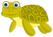 Vector: Cartoon of the terrapin on white background Cartoon of the terrapin on white background