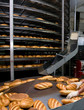 bread bakery