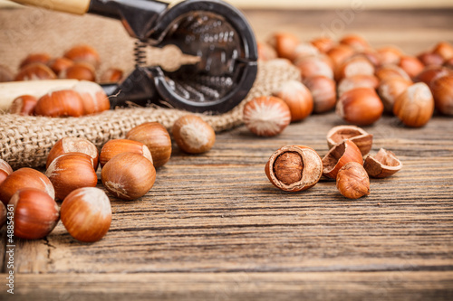 Photo: Hazelnuts Hazelnuts