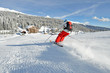 Skifahrer auf der Piste
