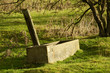 Trough in a field