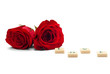 Red rose isolated on white background
