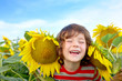 Photo: happy sweet little boy in field of sunflowers happy sweet little boy in field of sunflowers