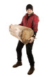 Lumberjack strong man is holding downed log