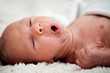 Newborn baby boy