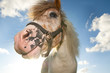 Photo: Horse head Horse head