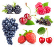 set of fresh berry with green leaf