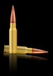 bullets