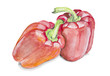 Painted  red  paprika pepper isolated