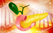 pancreas