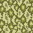 Snake skin in green seamless pattern, vector