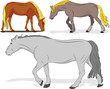 Set of a horse in action