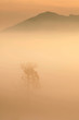 Photo: Alone Alone