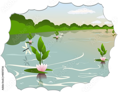 Vector: Lake with water lilies Lake with water lilies