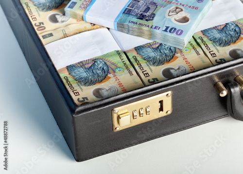 Photo: Romanian currency in a briefcase Romanian currency in a briefcase