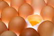 Foto: Eggs background Eggs background