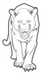 panther