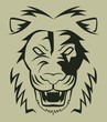 Vector: lion face illustration lion face illustration
