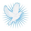 dove