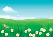 Vector: landscape with butterfly, flowers and green grass landscape with butterfly, flowers and green grass