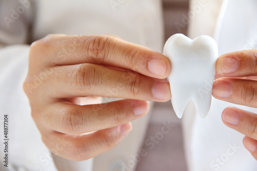 Photo: dentist holding molar dentist holding molar