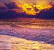 Sea sunset