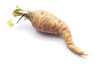 parsnip