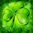 Clover leaf on green