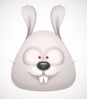 Cute Rabbit