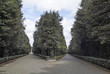scelta