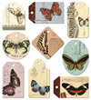 Illustration: retro tags: butterflies - set of 9 designs retro tags: butterflies - set of 9 designs