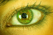 Bionic eye