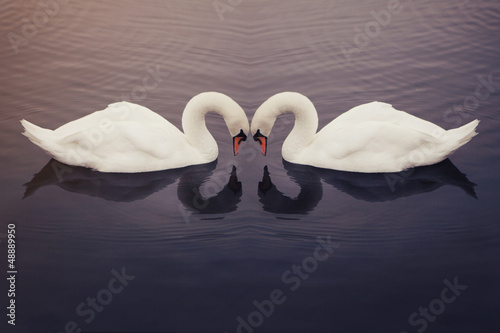Photo: Be my Valentine Be my Valentine