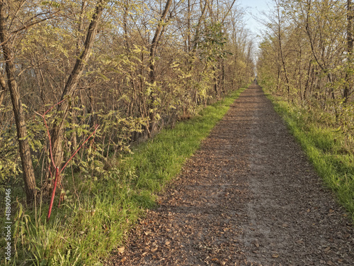 Photo: Dirt road perspective along a riverbank Dirt road perspective along a riverbank