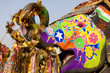 Decorated Elephant At The Elep...