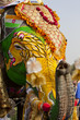 Decorated elephant at the elephant festival in Jaipur.