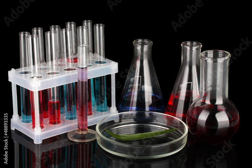 Photo: Test-tubes and green leaf tested in petri dish, isolated Test-tubes and green leaf tested in petri dish, isolated