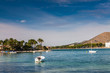 Port of Alcudia Mallorca