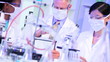 Laboratory Technicians Checking Wireless Tablet Results
