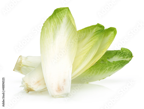 Photo: Three Endive Three Endive