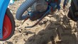 Planting a new maize crop