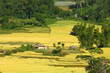 the landmark of mae klang luang's paddy rice field