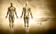 Photo: human body human body